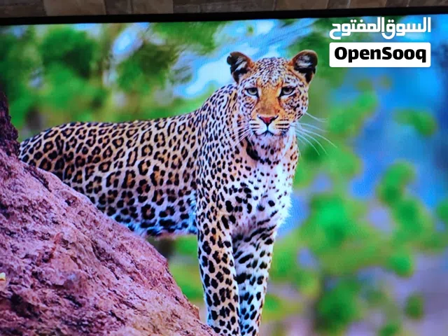 شاشه جنرال ديلوكس 43 ال اي دي