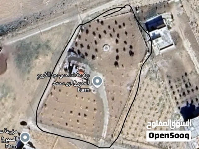 Mixed Use Land for Sale in Al Karak Al-Mazar Al-Janoubi