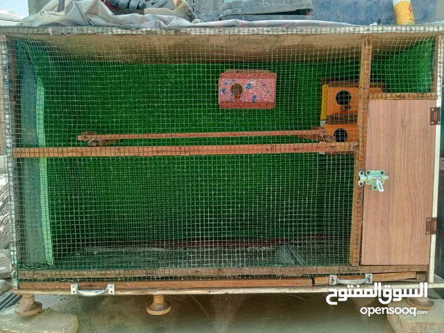 بيع قفص