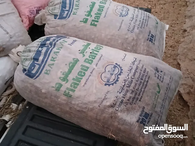 يتوفر معي سمن بقر عماني سعر غرشه التانج