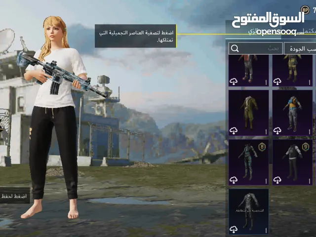 Pubg Accounts and Characters for Sale in Ismailia