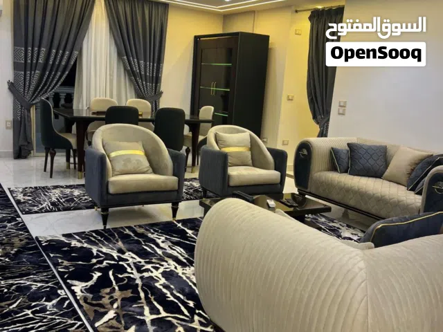 230 m2 3 Bedrooms Apartments for Rent in Cairo Nasr City