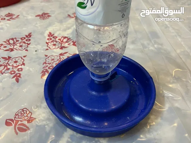 مشارب مياه للطيور والقطط