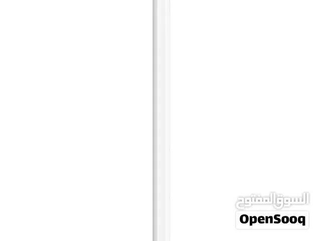 New Apple Pencil (2nd generation)