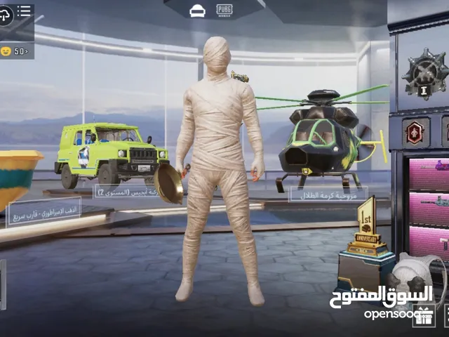 Pubg Accounts and Characters for Sale in Amman