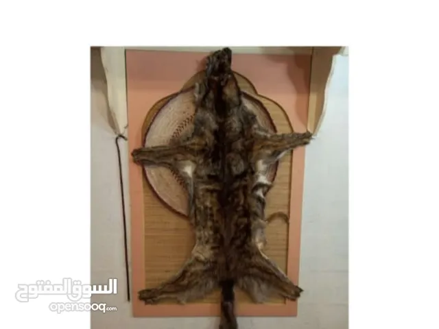 تلفزيون + جلد طبيعي +تلفون يفضل قراءة الوصف