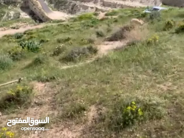 ارض في بيت تعمر 450