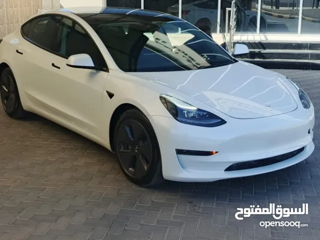 Used Tesla Model 3 in Salt