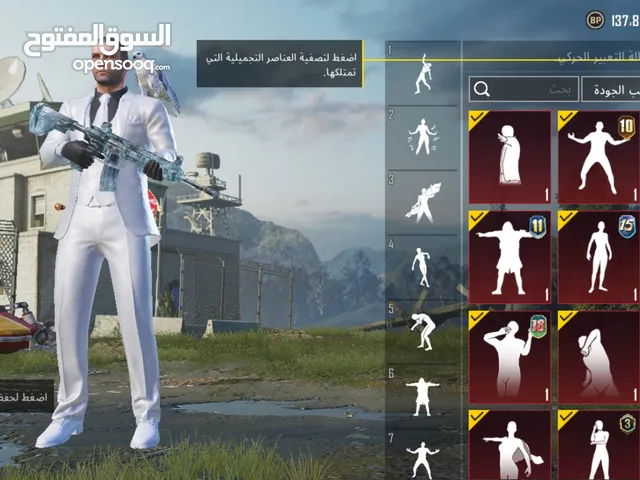 Pubg Accounts and Characters for Sale in Irbid