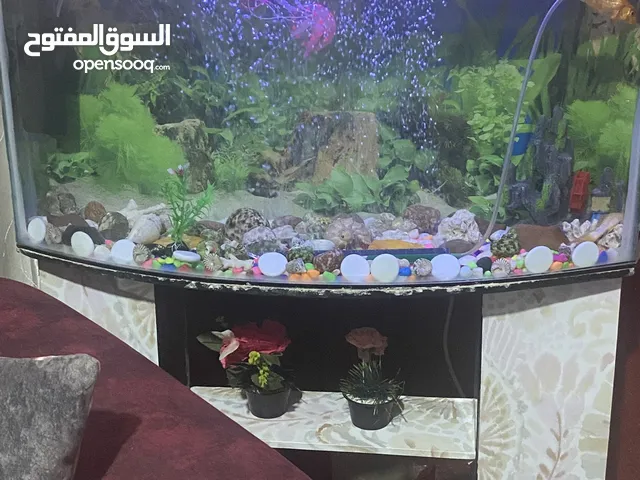 حوض سمك للبيع