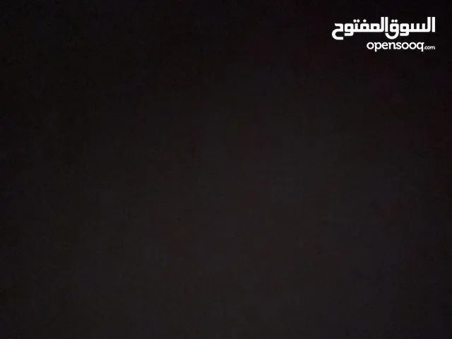 محتاج كلب بومرينيان للتبني أو بودل