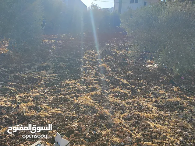 300 m2 More than 6 bedrooms Townhouse for Sale in Tubas Other