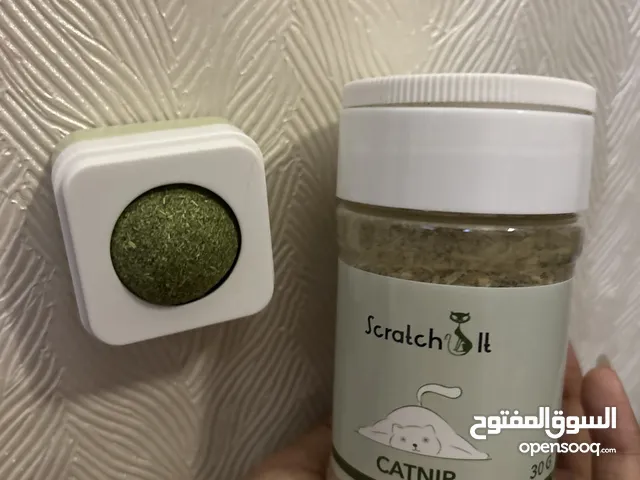 للبيع catnip للقطط