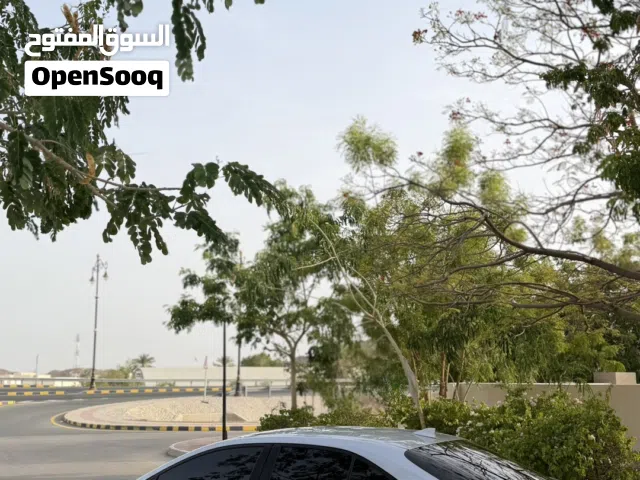 Used Toyota Corolla in Al Dakhiliya