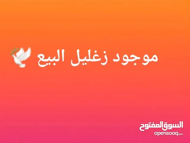 زغليل البيع البيع الكل طيريات