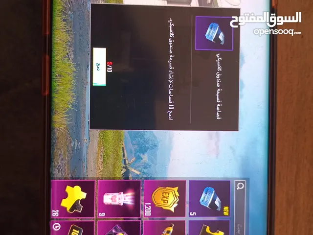 Pubg Accounts and Characters for Sale in Zarqa