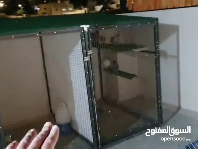 مطلوب قن نفس هاض