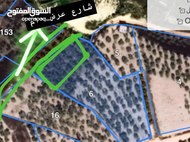 قطعة أرض سكنية مميزة للبيع غرب نابلس