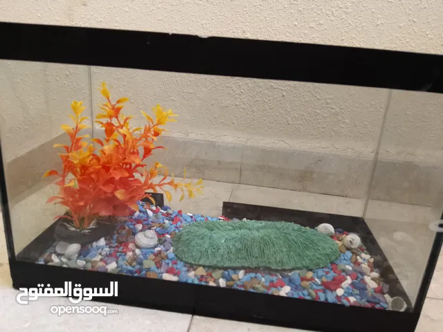 حوض سمك مع الزينة بسعر حرق طول 40 ارتفاع 26