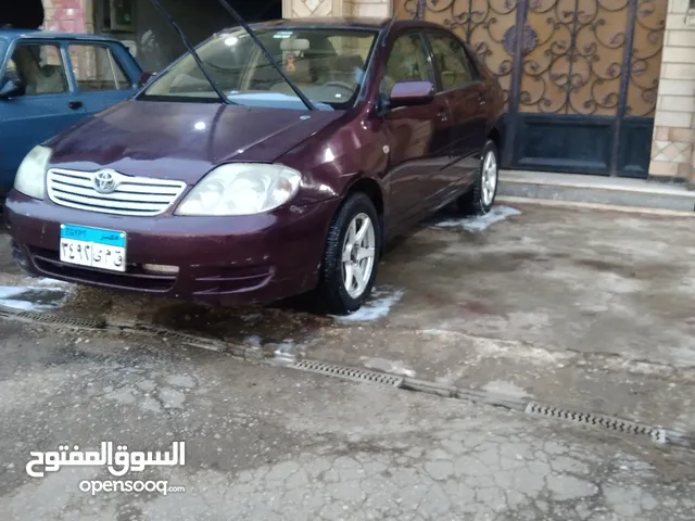 Used Toyota Corolla in Zagazig