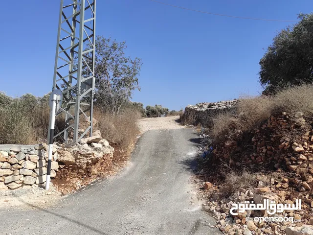 ارض للبيع بعملة الشيكل فى عصيرة الشمالية