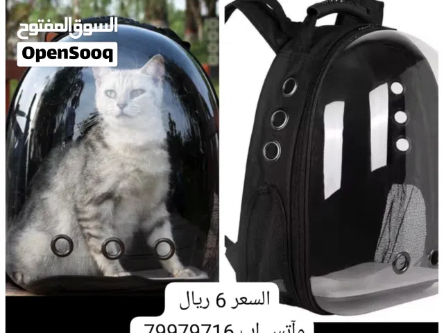 شنط طلعات للقطط