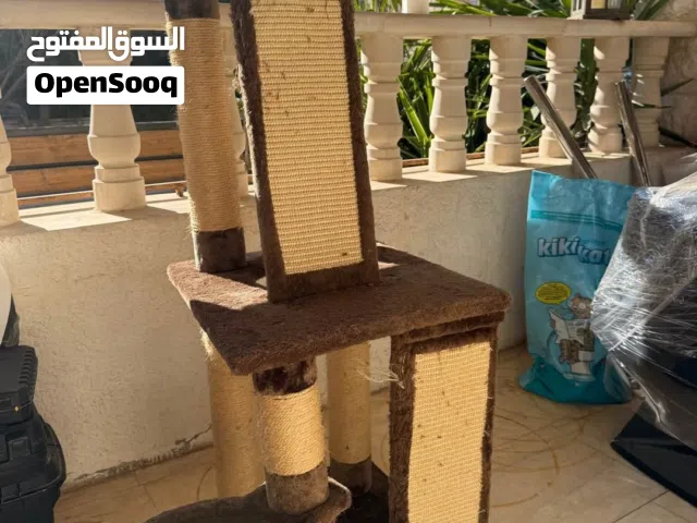شجرة لعب وخدش للقطط (Cat Tree) مع (هدية صندوق رمل ومجرفة)
