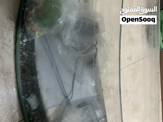 حوض سمك وتوابعه قابل للتفاوض