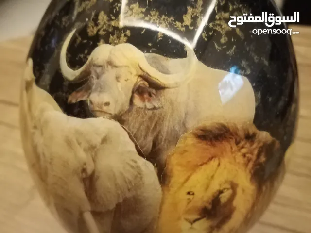 بيضة نعام فارغه