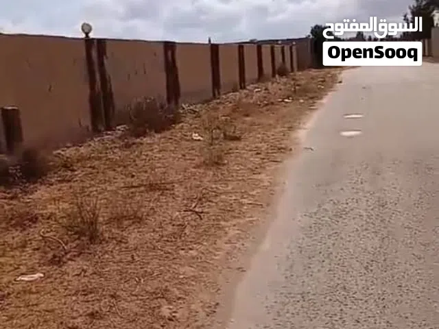 هكتار330 زيتونه مائده وبيرين ميه واستراحه وكرموستين كبار وزيتونه كبيره وتفتح على واجهتين طريق قطران