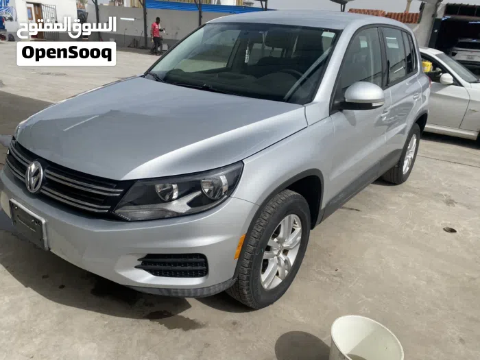 فولكسفاغن تيجوان Life 2.0 2013