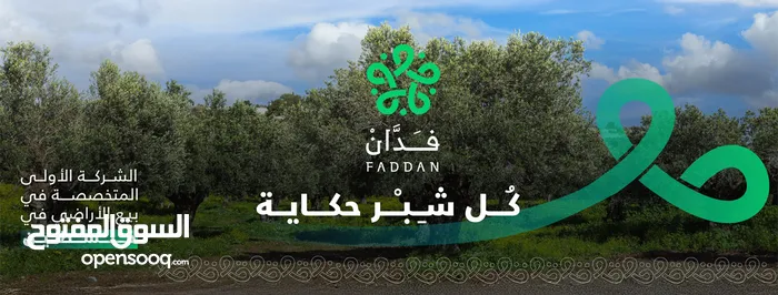شركة فدان لبيع وشراء الاراضي 