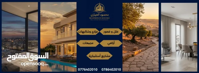 محمود الحياري