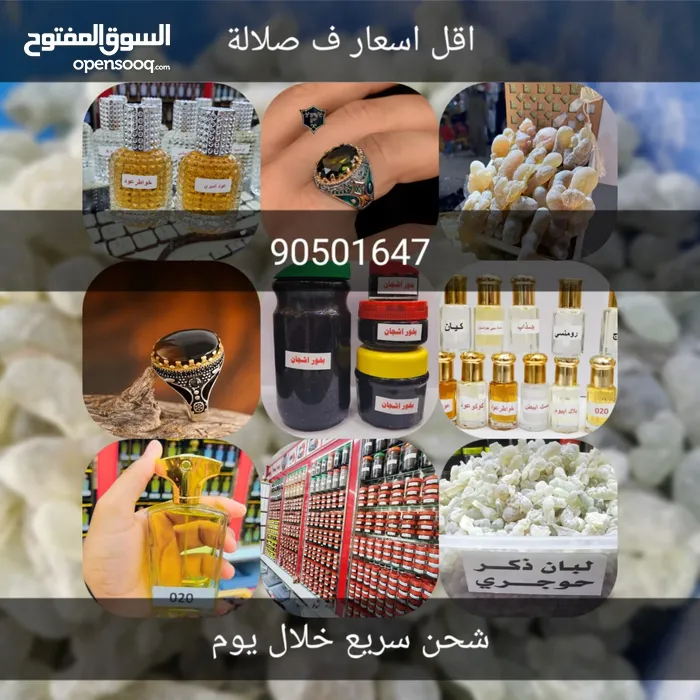 رونق الصحراء