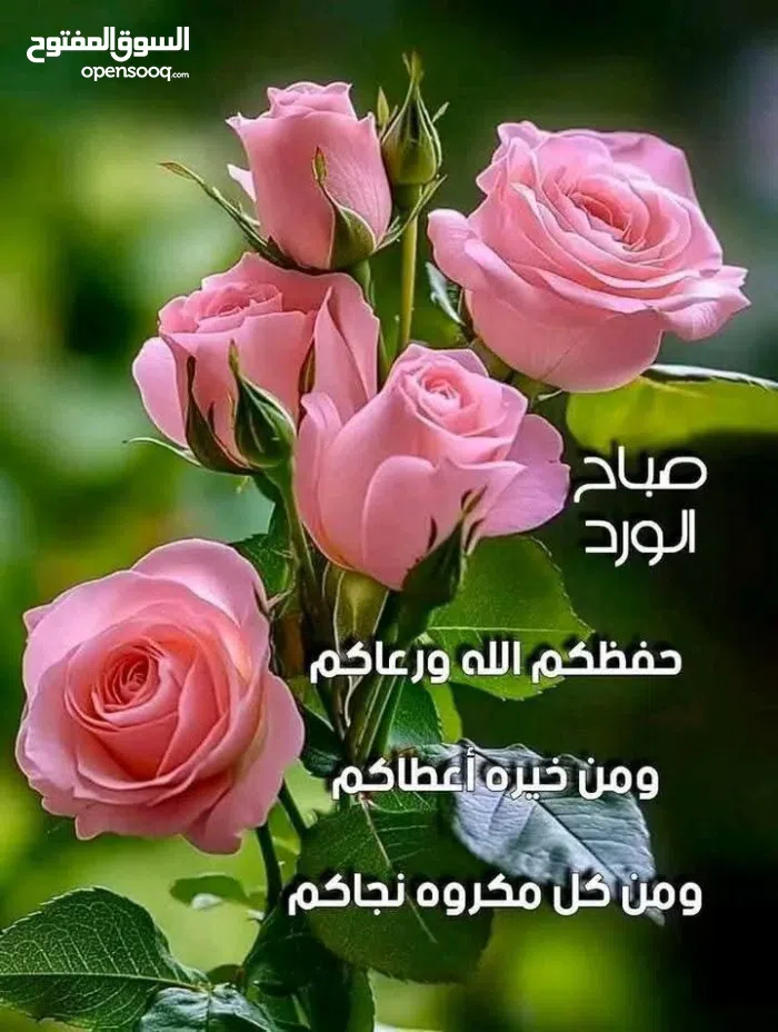 هواوي ‏نوفا 3i ‏128 جيجابايت ‏أبيض