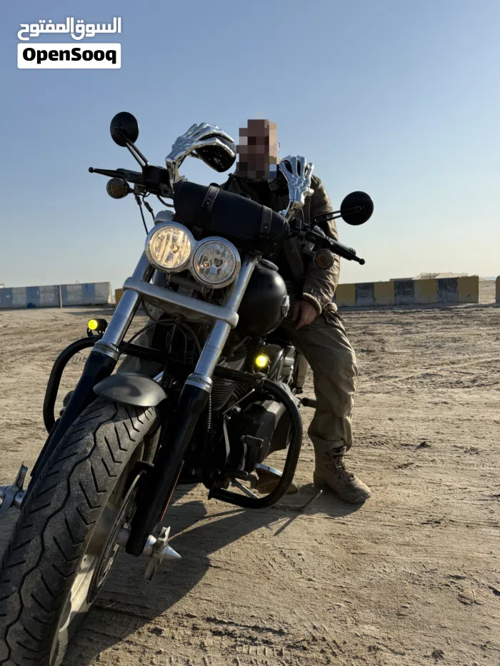 هارلي ديفيدسون ‏Fat Bob ‏2010 ‏1000 سي سي