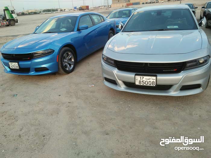 السوق المفتوح في الكويت للسيارات - صور