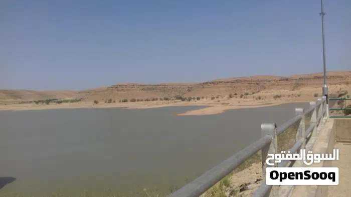 Opel ‏Vectra ‏2002