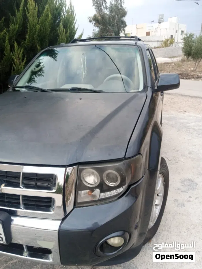 فورد اسكايب Active 2010