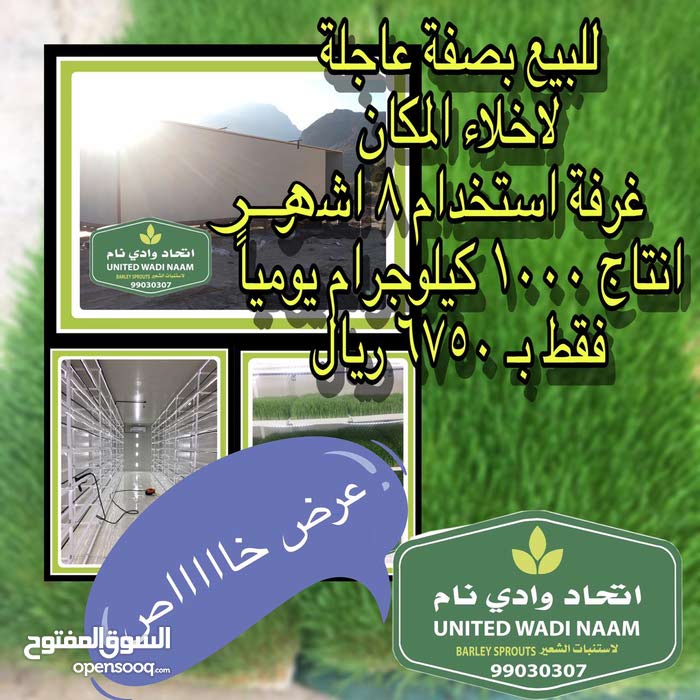 غرفة مستعملة لإنتاج الشعير المستنبت (115896225) السوق المفتوح