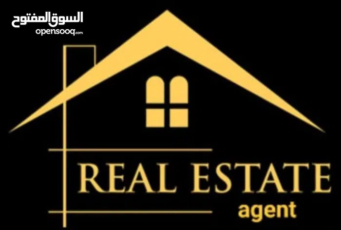 Real Estate Agent