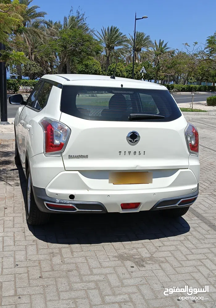 سانغ يونغ ‏تيفولي ‏Standard ‏2020