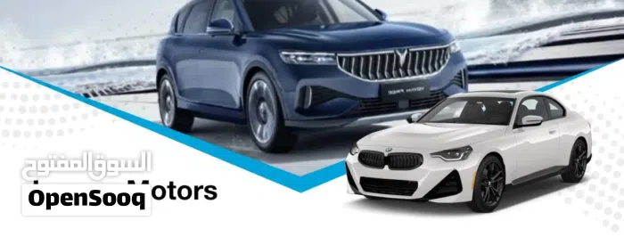  Luxury Motors