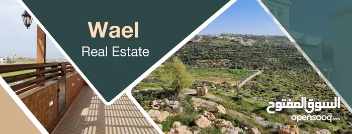 Wael Real Estate