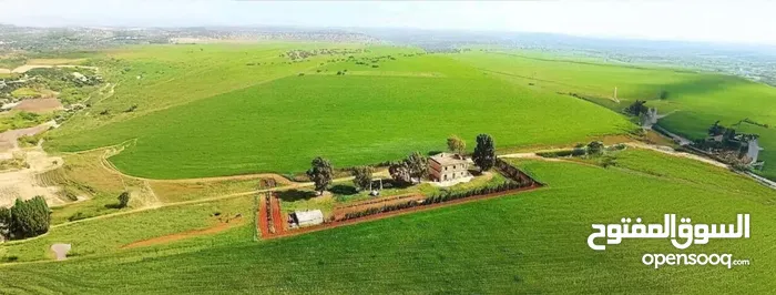 الطليسي للعقارات