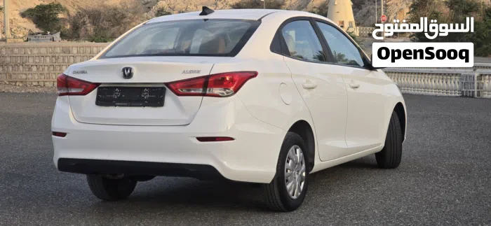 شانجان ‏السفن ‏Standard ‏2024