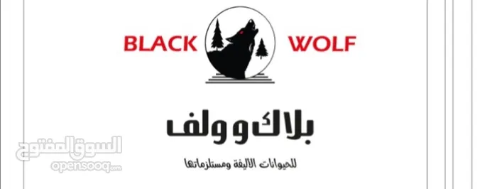 الذئب الاسود black wolf