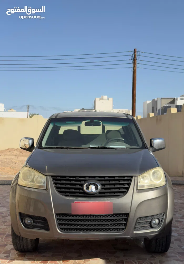 جريت وول ونجل Standard 2012