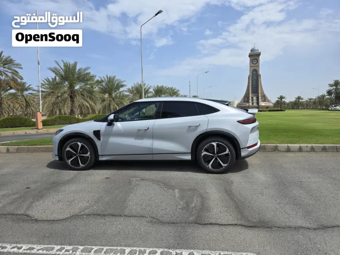 بي واي دي ‏سونج ل ‏2025