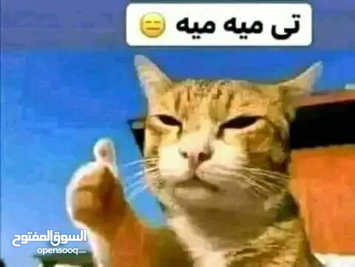 إنفينيكس ‏سمارت 6 ‏32 جيجابايت ‏أسود